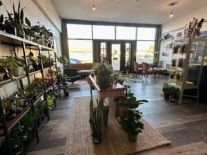 Vagabond Coffee