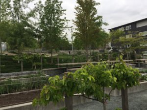 École Qayqayt Elementary