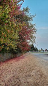 M.B. Sanford Elementary School