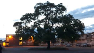 Marie-Rivier School, Louvain Pavilion