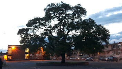 Marie-Rivier School, Louvain Pavilion