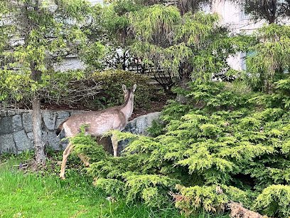 Bramblewood Elementary