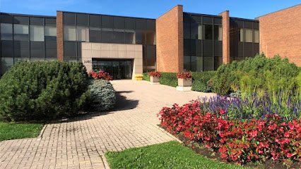 Alathena International Elementary School